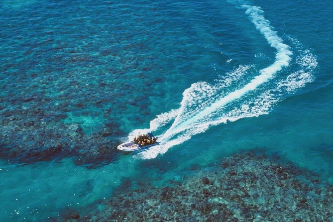 Ocean Freedom Great Barrier Reef Luxury Snorkel and Dive Cruise - Equipment, instruction, and comfort in the water