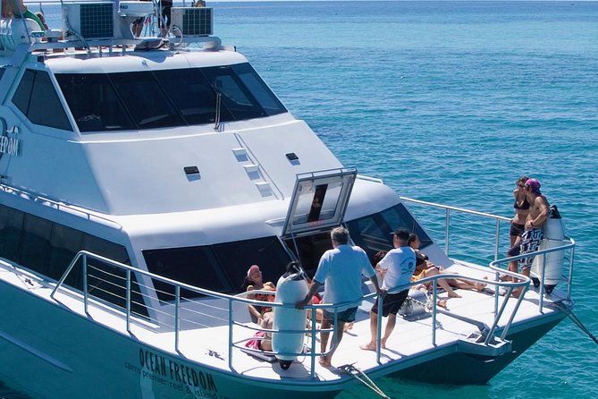 Ocean Freedom Great Barrier Reef Luxury Snorkel and Dive Cruise - Who will enjoy Ocean Freedom most