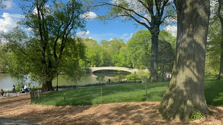 Official Exclusive VIP Horse Carriage Ride in Central Park - Key points at a glance