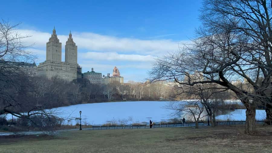 Official Exclusive VIP Horse Carriage Ride in Central Park - The Dairy and Central Park’s park history