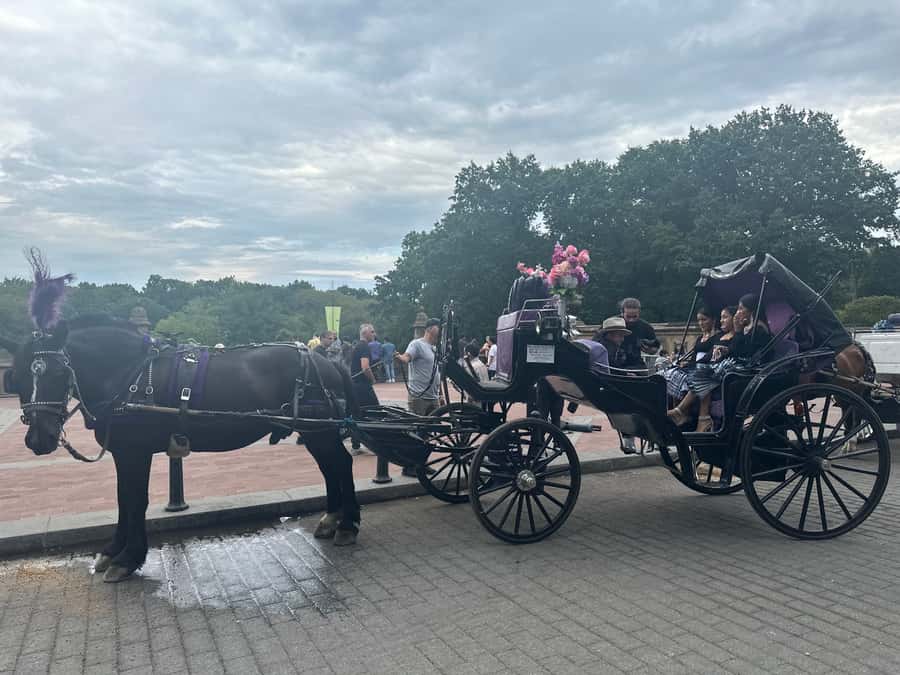 Official Exclusive VIP Horse Carriage Ride in Central Park - Summer Stage, the Boathouse, and the Bandshell
