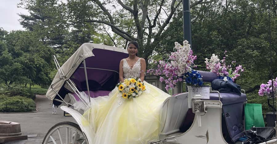 Official Exclusive VIP Horse Carriage Ride in Central Park - Meeting at 7th Avenue and West 59th Street