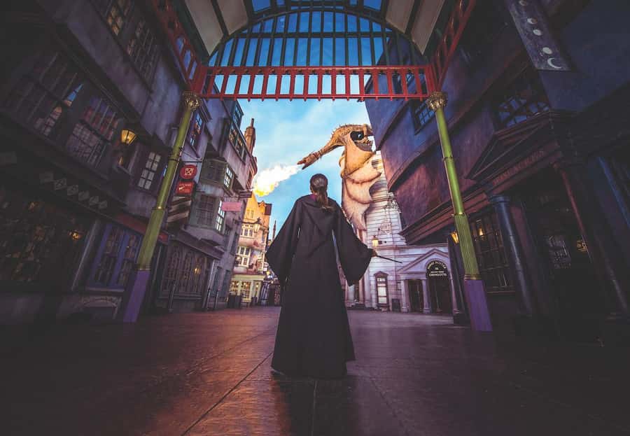 Orlando:Universal Studios 2-Park 1-Day VIP Experience Ticket - Breakfast, lunch, and the value of included food