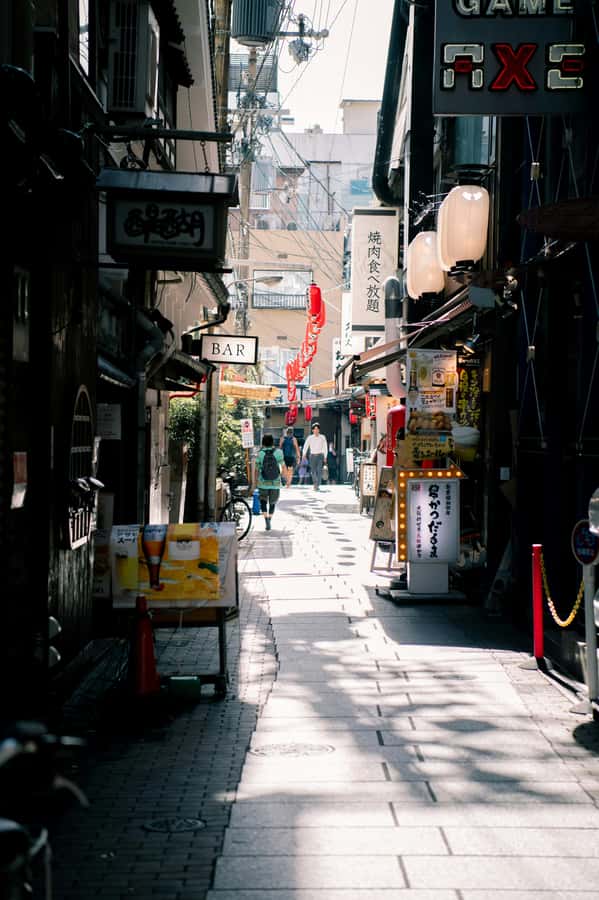 Osaka private Luxury Vehicle Tour:Freely Customized - What the $303 group price really offers