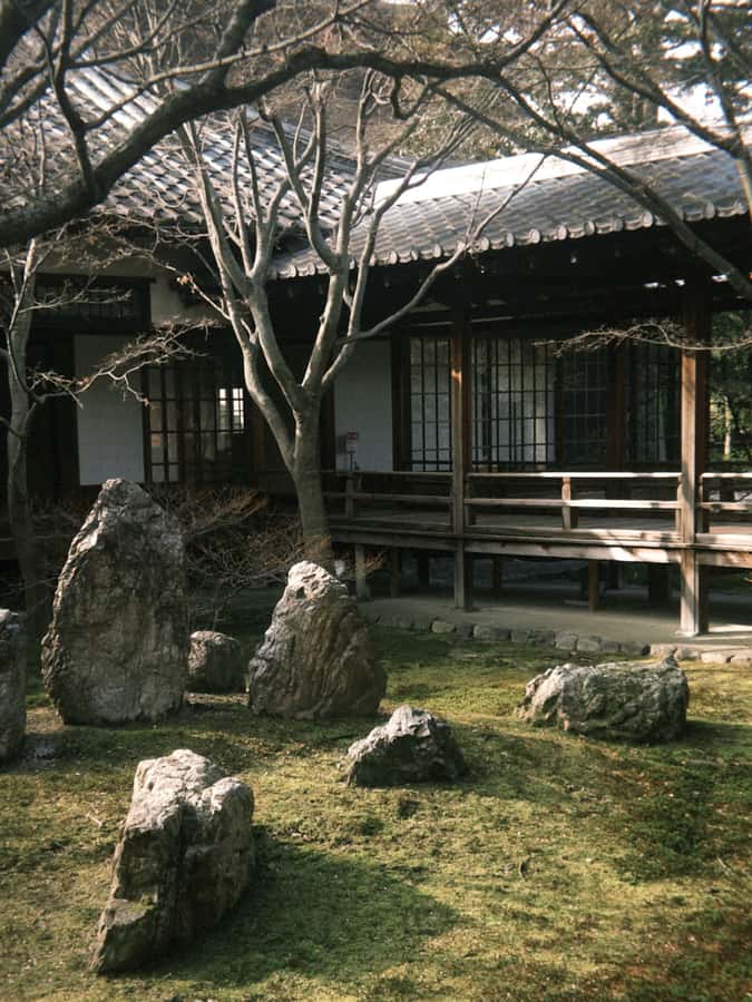 Osaka private Luxury Vehicle Tour:Freely Customized - The driver matters more than the vehicle