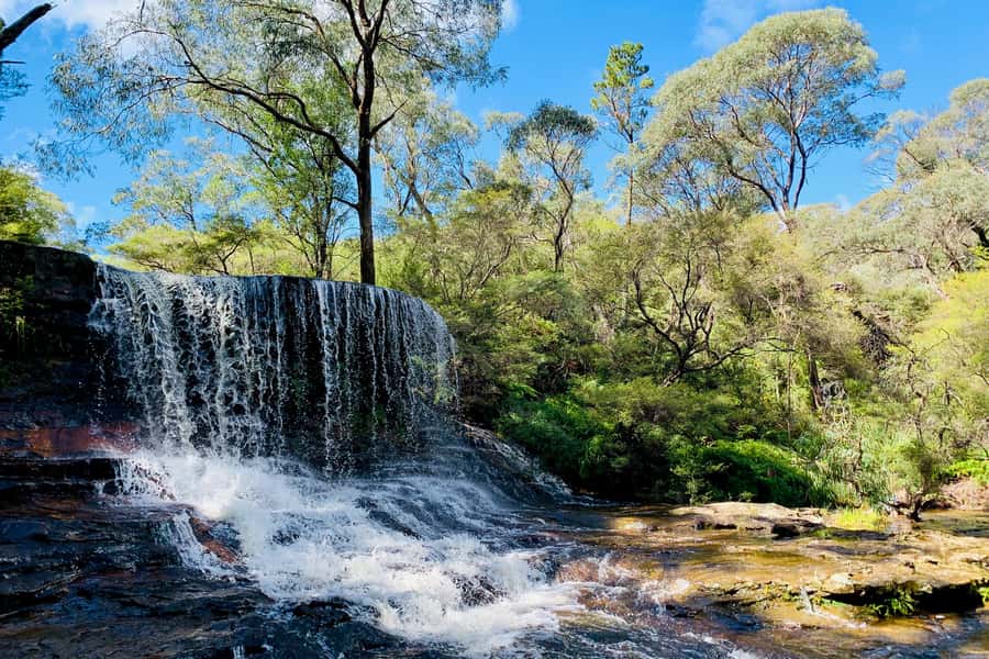 Personalised Blue Mountains Tour: Luxury Vehicles & Insights - Key points before you book