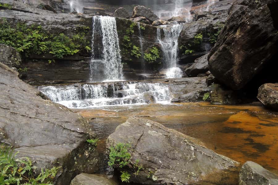 Personalised Blue Mountains Tour: Luxury Vehicles & Insights - Guides who adapt instead of reciting facts