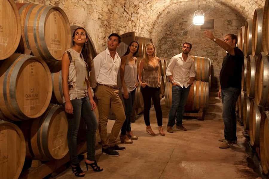 Perth VIP Swan Valley Wine Tour - Premium Small Group Tour - Lunch at a larger premium winery