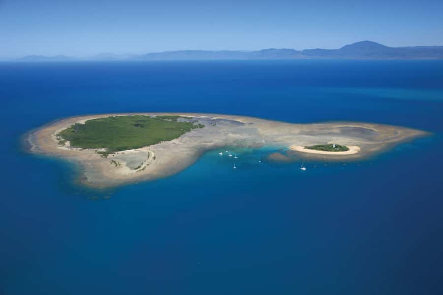 Port Douglas: Low Isles Afternoon Cruise on Luxury Catamaran - Three hours at Low Isles
