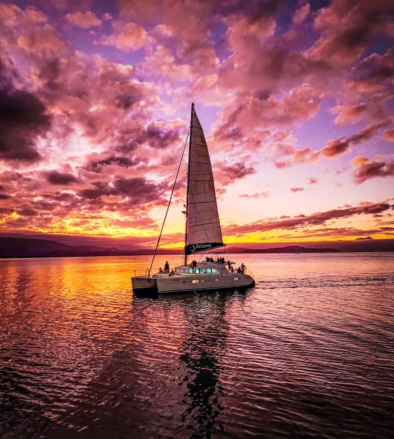 Port Douglas: Low Isles Afternoon Cruise on Luxury Catamaran - The island’s heritage walk