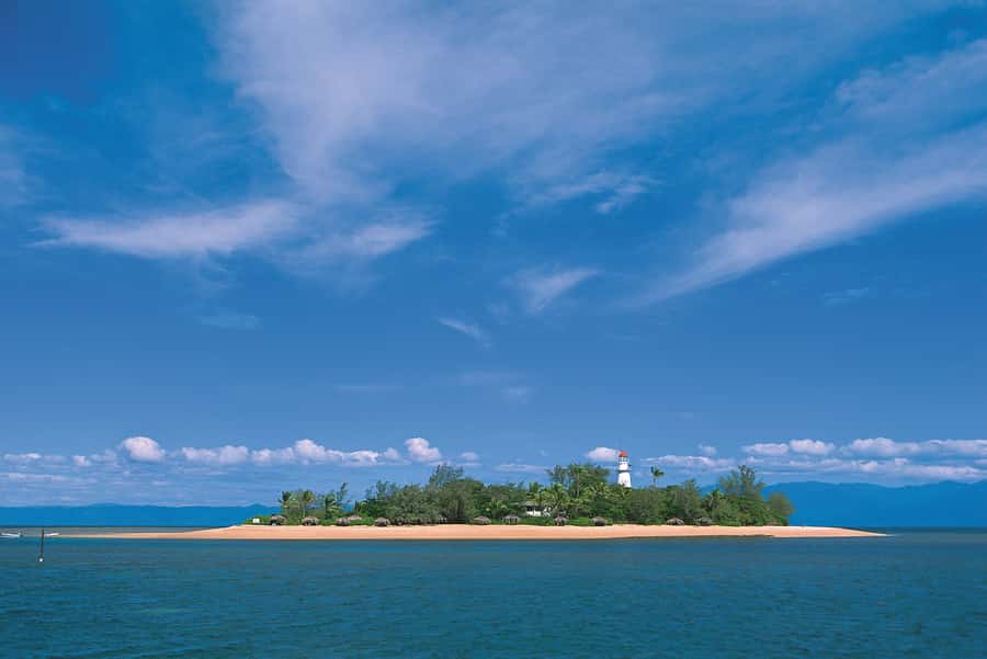 Port Douglas: Low Isles Afternoon Cruise on Luxury Catamaran - Is $240 a fair price?