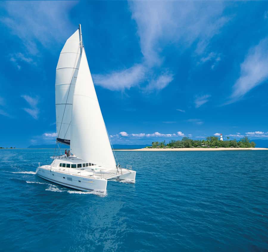 Port Douglas: Reef & Low Isles Cruise on Luxury Catamaran - Key points to know before booking