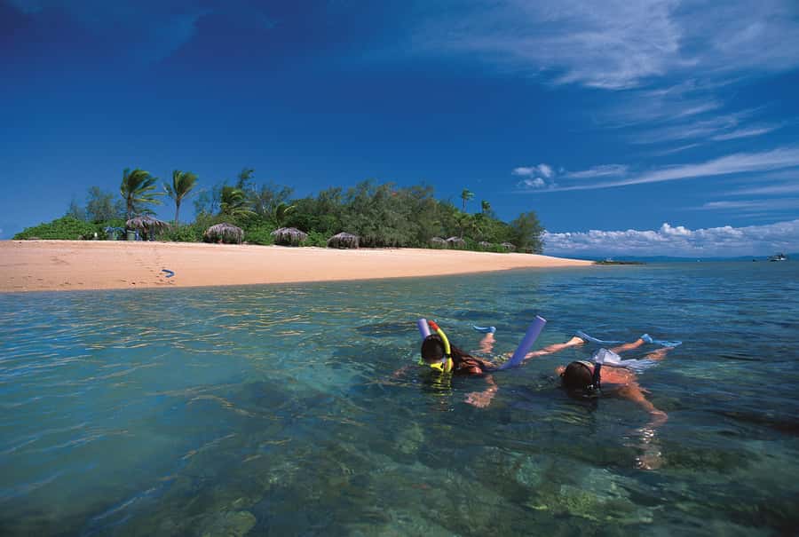 Port Douglas: Reef & Low Isles Cruise on Luxury Catamaran - Guided snorkeling over protected coral gardens