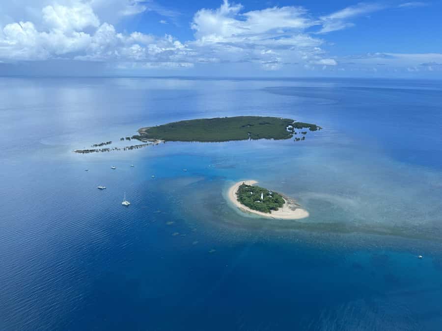 Port Douglas: Reef & Low Isles Cruise on Luxury Catamaran - A glass-bottom boat for a dry view of the reef