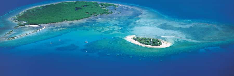 Port Douglas: Reef & Low Isles Cruise on Luxury Catamaran - The heritage walk and the human side of Low Isles