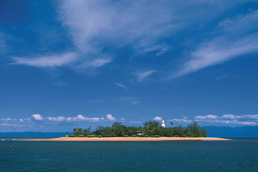 Port Douglas: Reef & Low Isles Cruise on Luxury Catamaran - Who will enjoy this Low Isles trip?