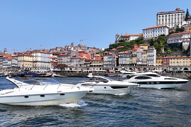 Porto: Luxury Yacht Cruise with Wine Tasting & Snacks - Wine, Port, and a board of local snacks