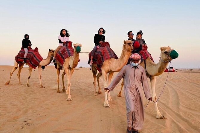 Premium Dubai Red Dunes with quadbike, camel ride and VIP Dinner - Sunset tea, dates, and a falcon show