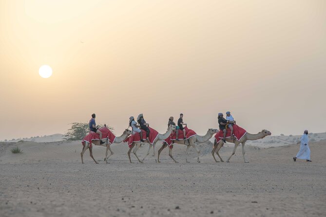 Premium Red Dunes Bashing with Quad Bike, Camel, Falcon &VIP Camp - The 45-minute ride from Dubai to the desert