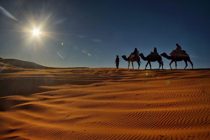 Private 2 Days Desert Tour from Fes with Overnight in Luxury Desert Camp - Camel riding into the Erg Chebbi dunes
