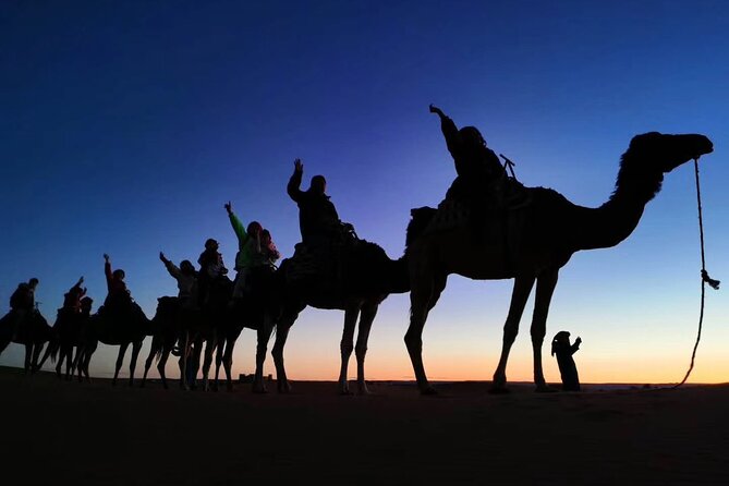 Private 3 Day Luxury Desert Tour from Fez to Marrakech - What the $1,138.23 price really buys