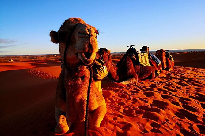 Private 3 Day Luxury Desert Tour from Fez to Marrakech - Practical advice before you go