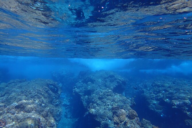 Private 4 Hours Reef Discovery Luxury Private Treasure Hunt in Bora Bora - Why this four-hour treasure hunt feels different
