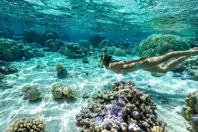 Private 4 Hours Reef Discovery Luxury Private Treasure Hunt in Bora Bora - Stop three: the next clue and the open-water challenge