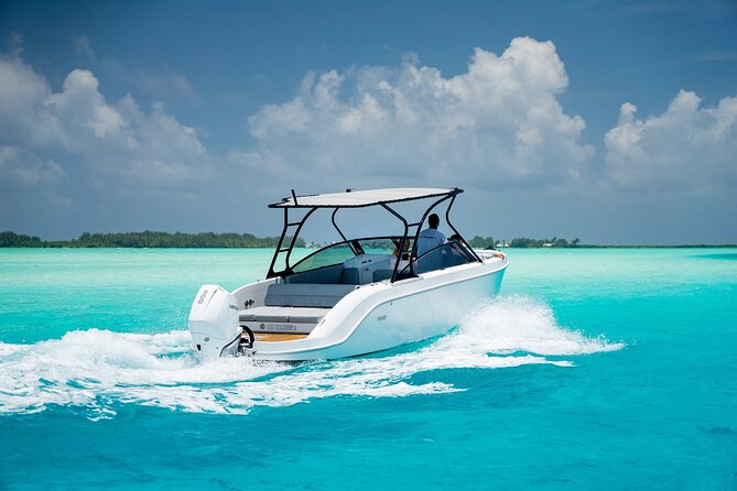 Private 4 Hours Reef Discovery Luxury Private Treasure Hunt in Bora Bora - The land portion and the final treasure