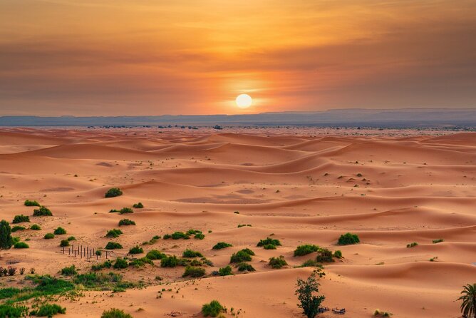 Private and Luxury 3 Day Desert Tour from Fes to Marrakech - The Sahara night: sunset, music, and a cold early morning