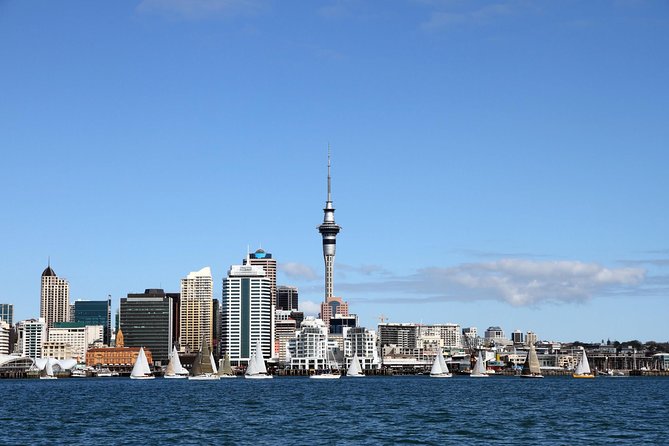 Private Auckland City Tour For Small Group in a luxury vehicle. - Key points before you book