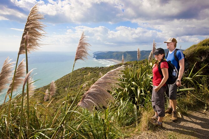 Private Auckland Luxury Tour - Karekare Falls and a possible quick swim