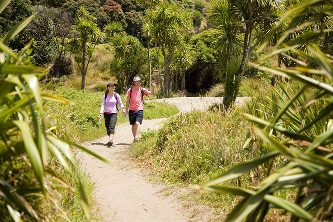 Private Auckland Luxury Tour - Tamaki Drive, Mission Bay, and Auckland’s eastern shore