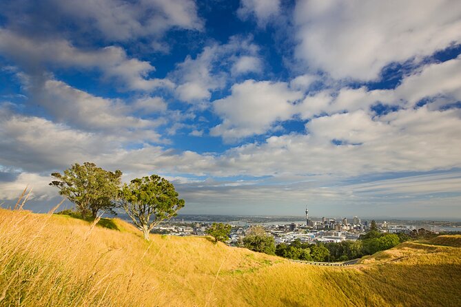 Private Auckland Luxury Tour - Mount Eden and the best city panorama