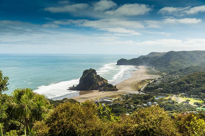 Private Auckland Luxury Tour - Private comfort, food, and timing