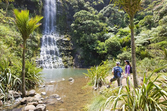 Private Auckland Luxury Tour - Titirangi and the Waitakere gateway