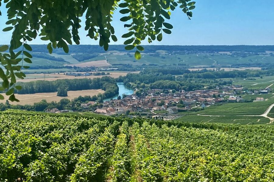 Private Champagne Ruinart, Moet Chandon VIP Tour by Mercedes - Reims Cathedral and the ride back to Paris