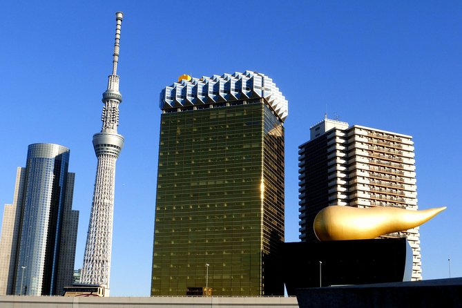 Private Custom Tokyo Tour VIP - Key points to know before booking