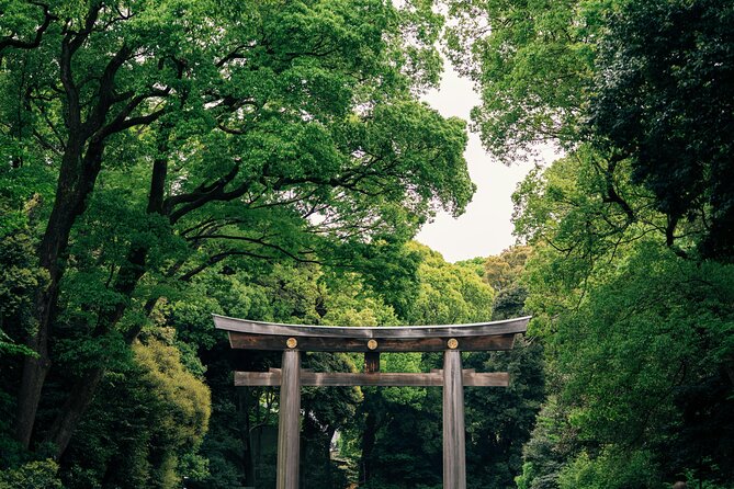 Private Custom Tokyo Tour VIP - Why a private car helps in sprawling Tokyo