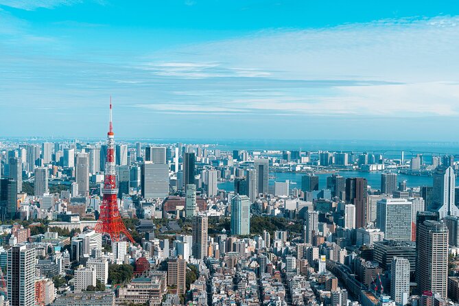 Private Custom Tokyo Tour VIP - Skytree and the city from above