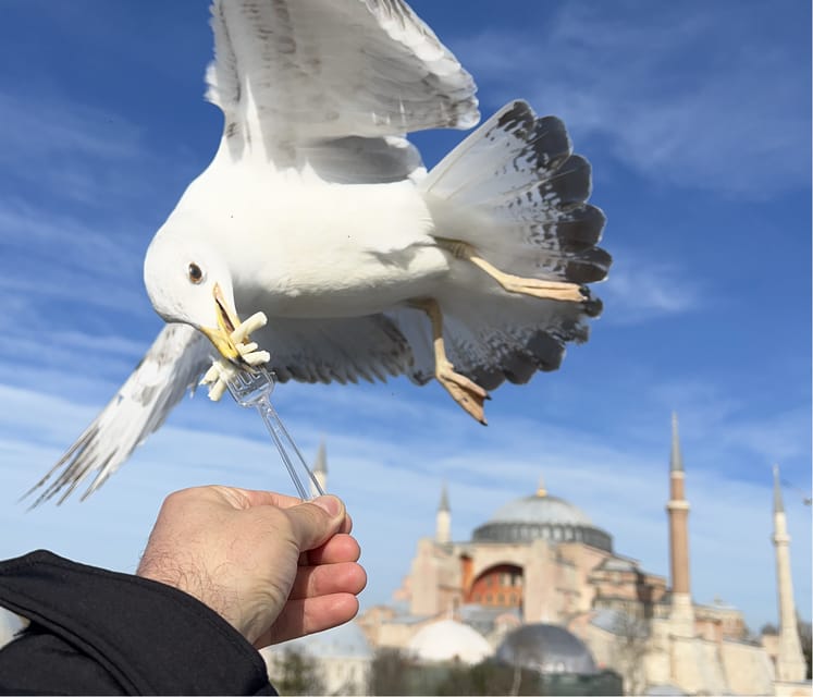 Private Guided Istanbul Luxury Tour (Tickets and Transfers) - Key points at a glance