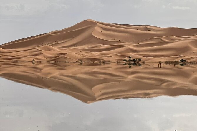 Private Luxury 4 Day Desert Tour from Marrakech to Sahara Desert - How the private format changes the experience