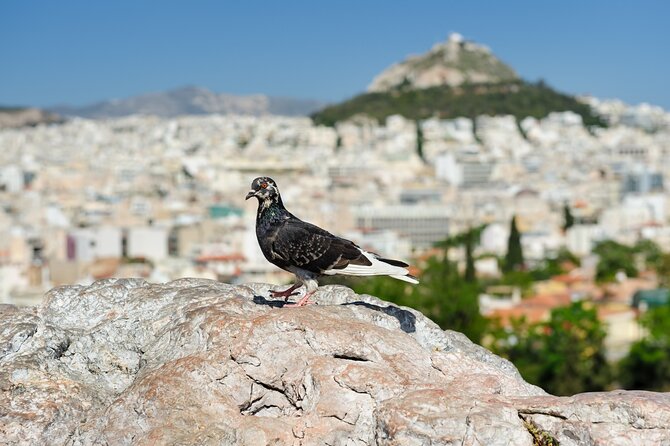 Private Luxury Biblical Tour: Apostle Paul in Athens & Corinth - Ancient Agora and Areopagus Hill in Athens