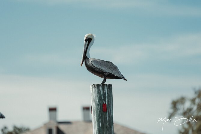 Private Luxury Boat Charter - First hour: Siesta Key from the intercoastal waterway