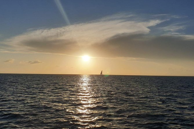 Private Luxury Catamaran - Saona or Catalina island - Who will enjoy this cruise most