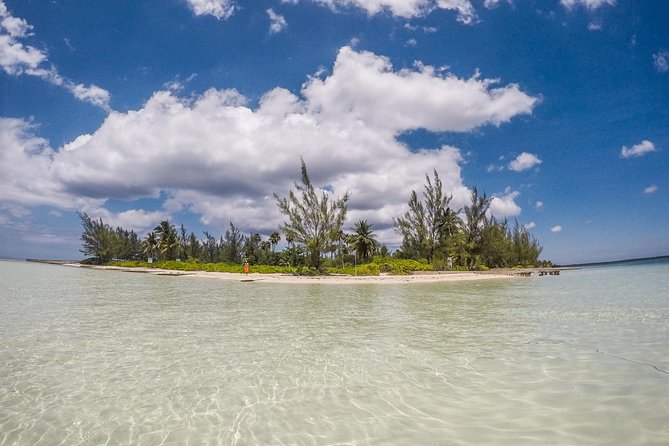 Private, luxury, custom charters to Stingray City, Snorkeling & More - Starfish Point: a quiet change of pace