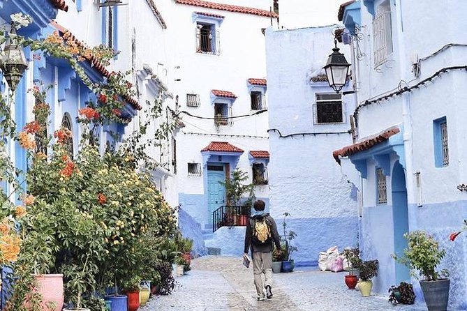 Private Luxury Day Trip from Fes to Chefchaouen - Key points before you book