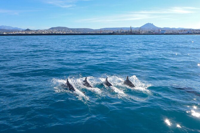 Private luxury Escape Sailing, Snorkel and Lunch Cruise - Swimming in sheltered Agios Georgios Bay