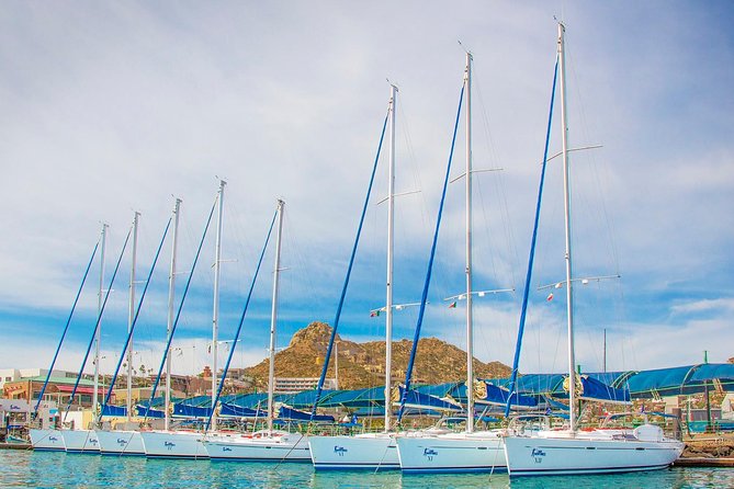 Private Luxury Sailing Cruise in Los Cabos with Lunch and Open Bar - Price, group size, and overall value