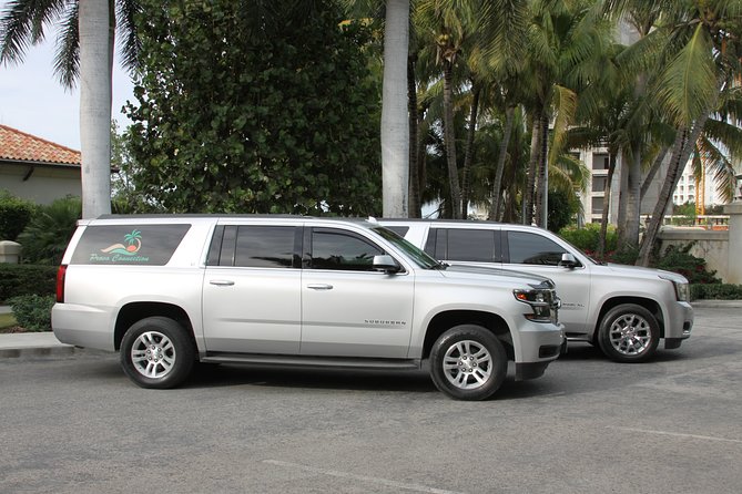 Private Luxury SUV Airport Transfer (Round-Trip) - Finding the dispatcher after landing